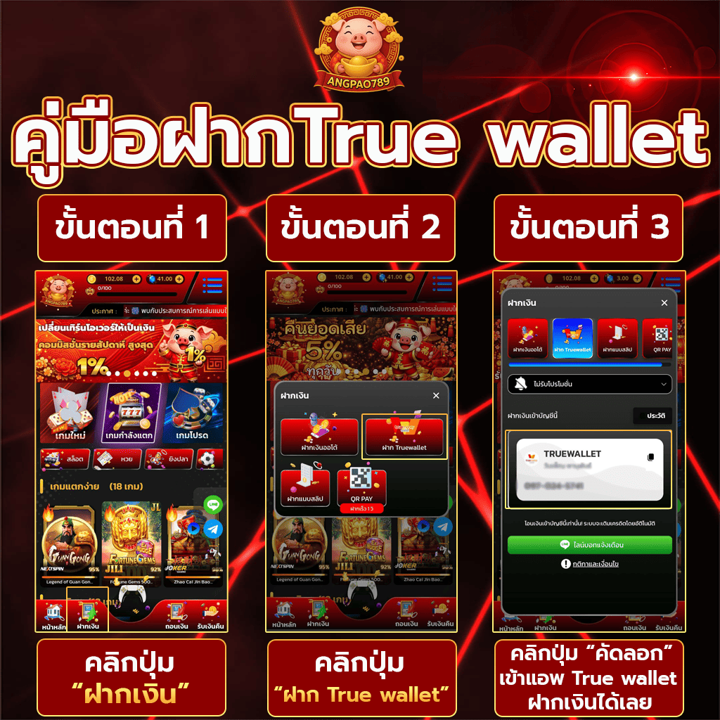 คู่มือฝาก true wallet